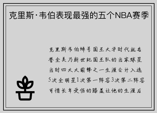 克里斯·韦伯表现最强的五个NBA赛季 克里斯·韦伯表现最强的五个NBA赛季
