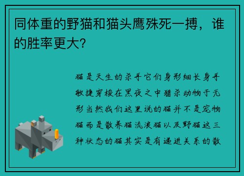 同体重的野猫和猫头鹰殊死一搏，谁的胜率更大？